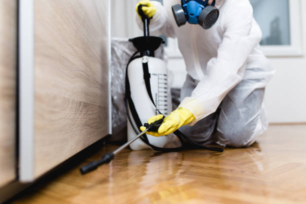 Best Local Pest Control Services  in Wescosville, PA