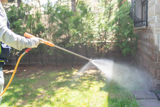 Best Mosquito Control Services  in Wescosville, PA