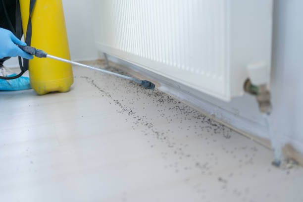Best Pest Removal Services  in Wescosville, PA